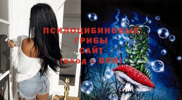 спайс Лагань