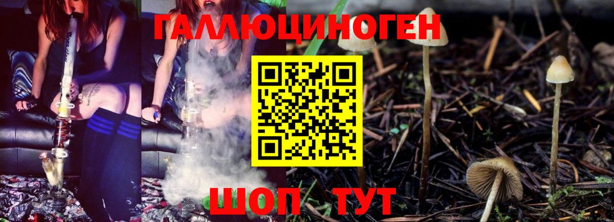 Псилоцибиновые грибы мицелий Баксан