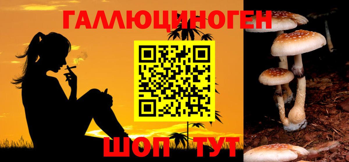 Псилоцибиновые грибы Psilocybe  как найти закладки  Баксан  Вход с VPN 